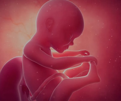 Perfil Biofísico Fetal